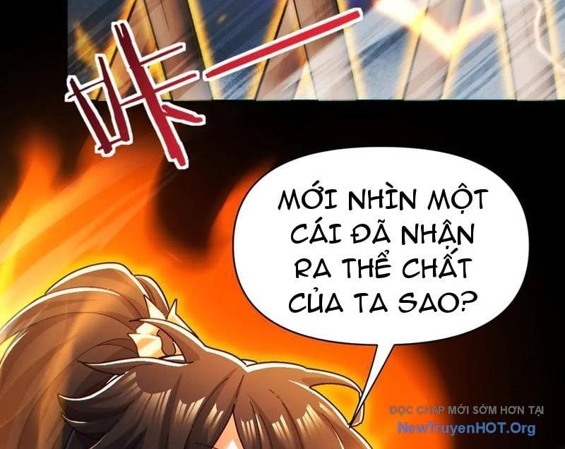Bắt Đầu Chấn Kinh Nữ Đế Lão Bà, Ta Vô Địch! Chap 94 - Next Chap 95