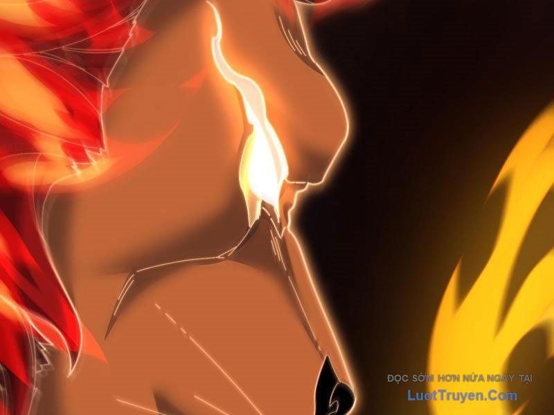 Bắt Đầu Chấn Kinh Nữ Đế Lão Bà, Ta Vô Địch! Chap 97 - Next Chap 98