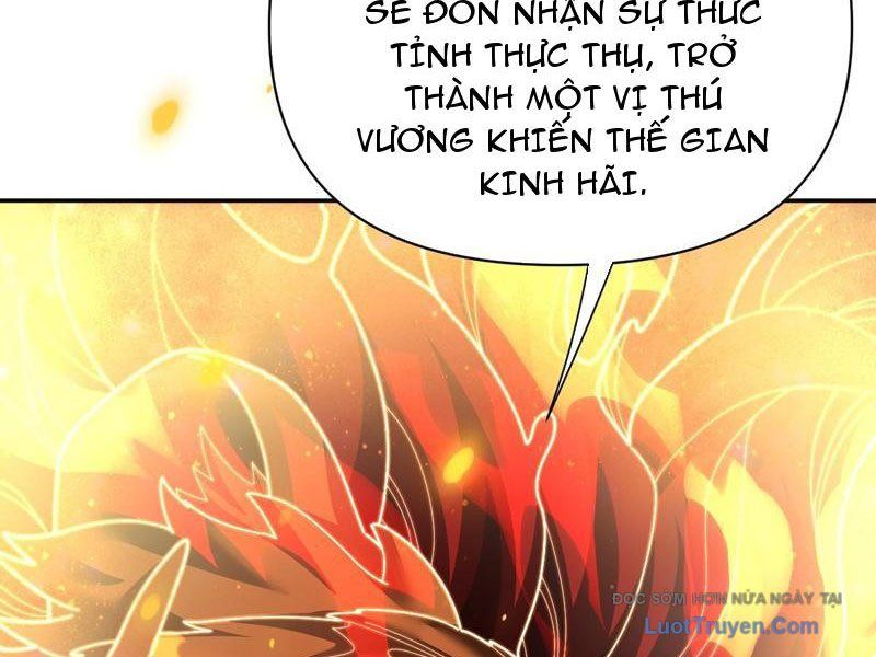 Bắt Đầu Chấn Kinh Nữ Đế Lão Bà, Ta Vô Địch! Chap 97 - Next Chap 98