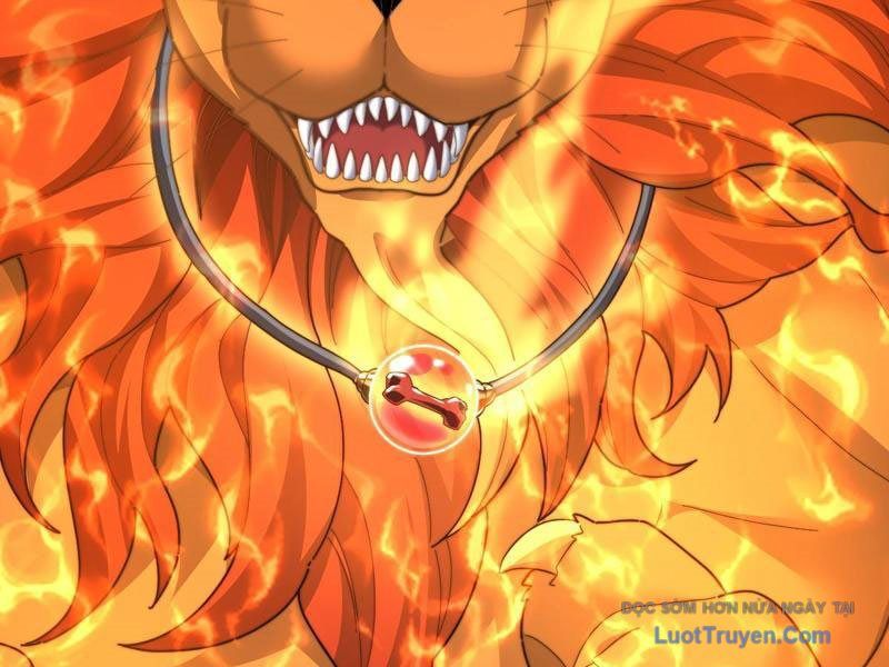 Bắt Đầu Chấn Kinh Nữ Đế Lão Bà, Ta Vô Địch! Chap 97 - Next Chap 98