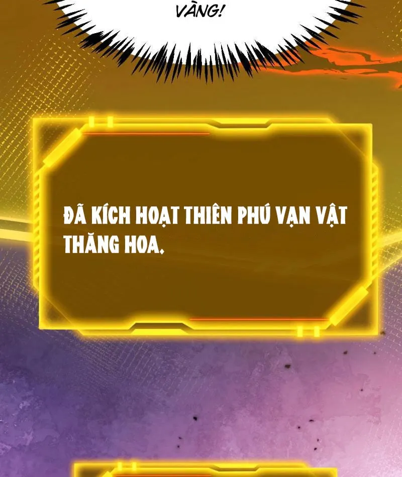 Bắt Đầu Từ Thiên Phú Thần Thoại, Ta Một Kiếm Trảm Thần Chap 3 - Next Chap 4