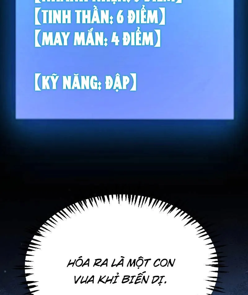 Bắt Đầu Từ Thiên Phú Thần Thoại, Ta Một Kiếm Trảm Thần Chap 5 - Next Chap 6