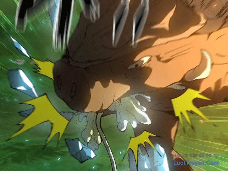 Bắt Đầu Từ Việc Trùng Sinh Thành Niêm Khuẩn Chap 11 - Next Chap 12