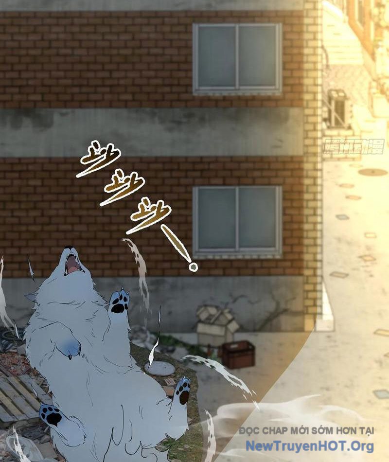 Bắt đầu Vô địch Từ Trúc Cơ Chap 12 - Next Chap 13