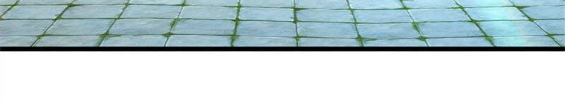 Bắt Đầu Với Chí Tôn Đan Điền Chap 18 - Next Chap 19