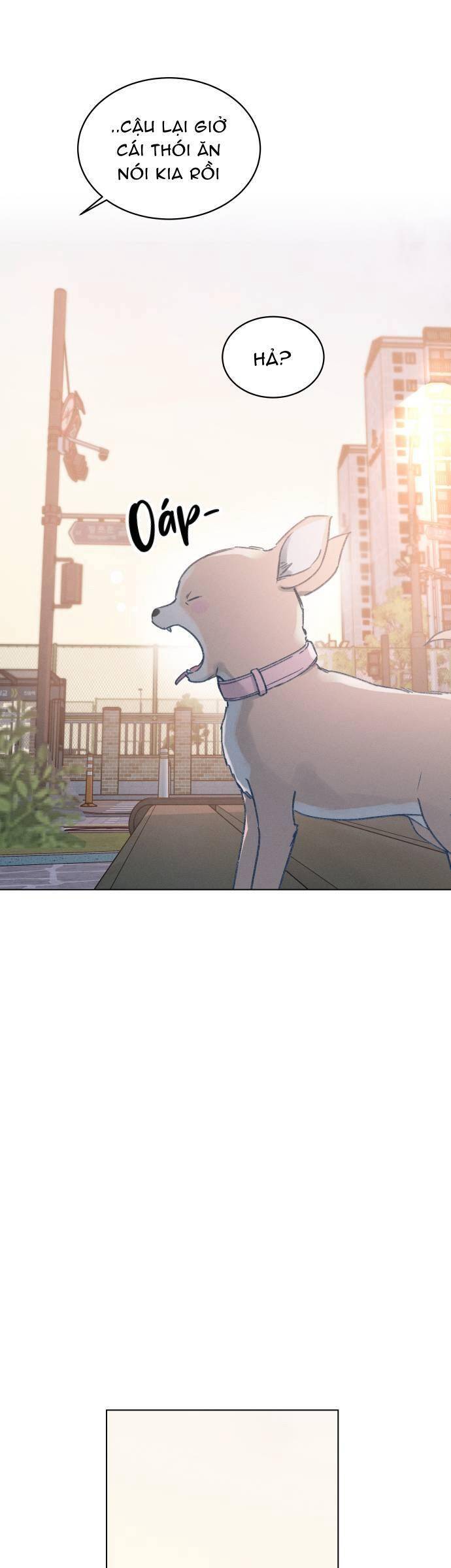 Bầu Trời Mùa Hạ Dấu Yêu Chap 17 - Next Chap 18