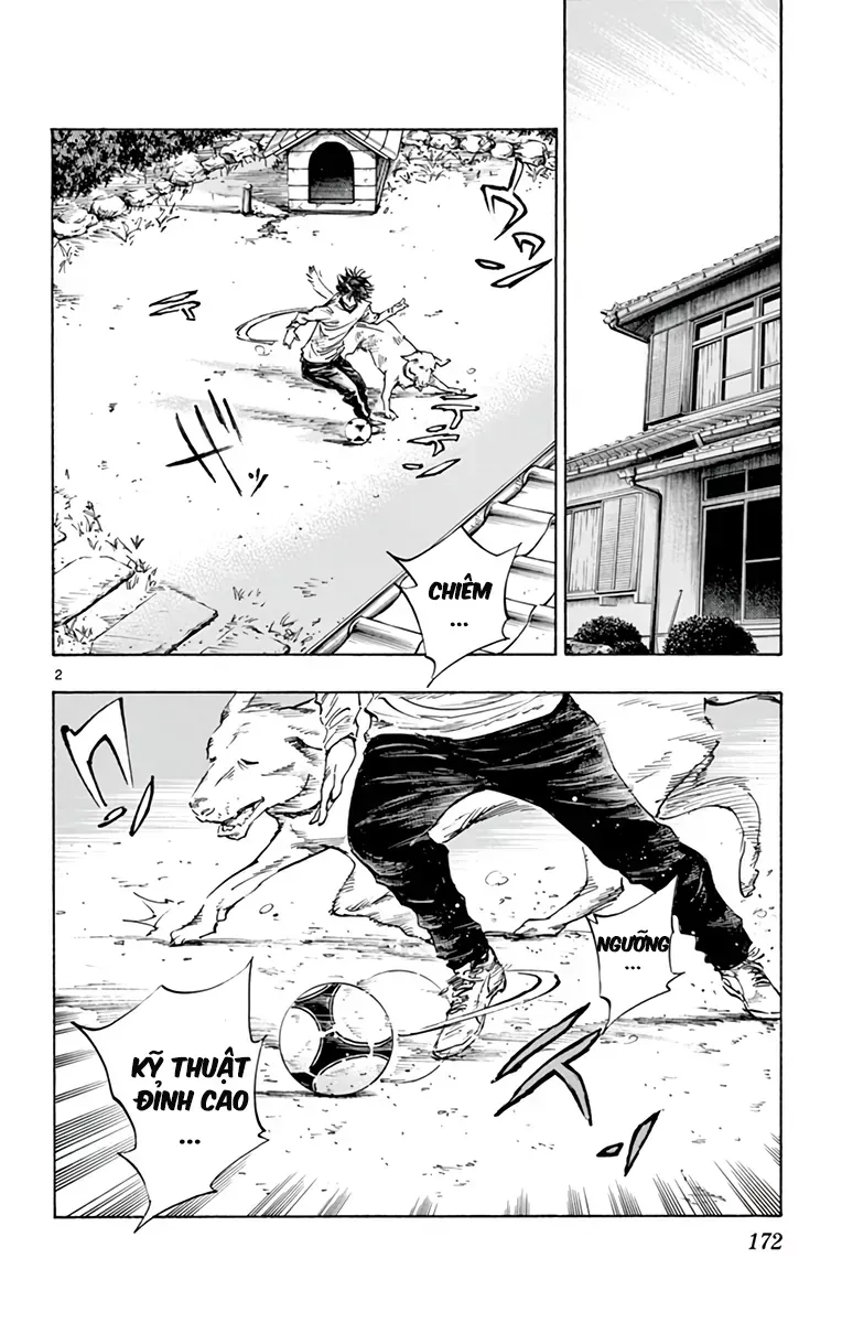 Be Blues! - Ao Ni Nare Chap 319 - Next Chap 320