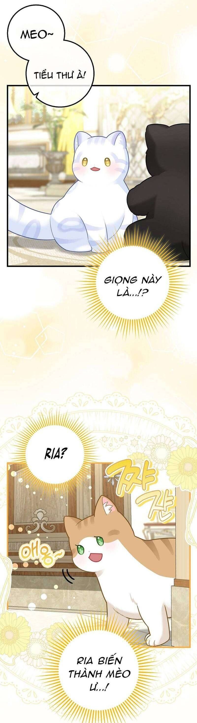 Bé Con Báo Tuyết Của Gia Tộc Báo Đen Chap 26 - Next Chap 27