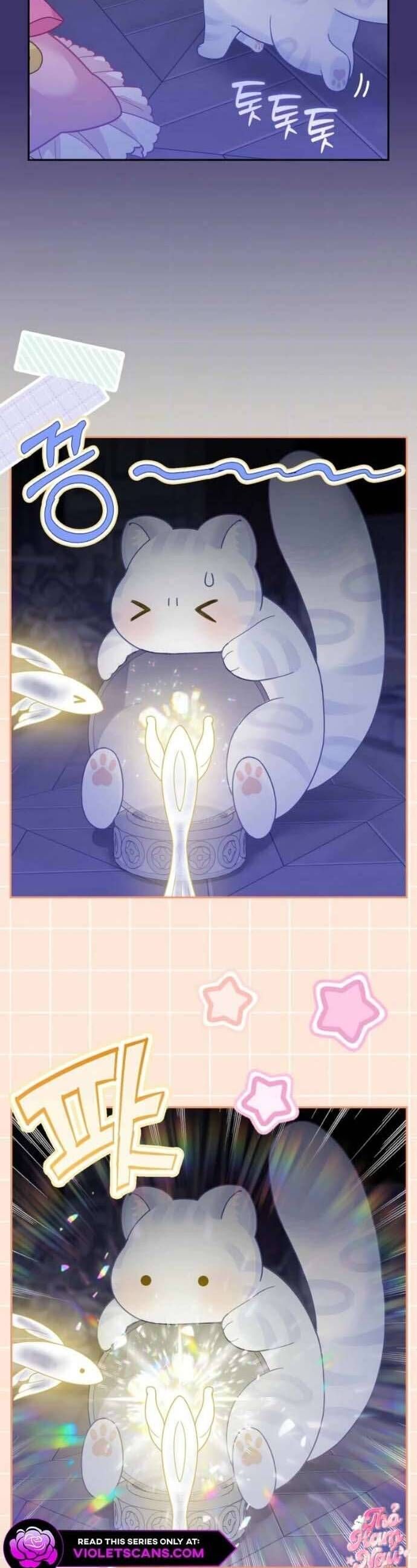 Bé Con Báo Tuyết Của Gia Tộc Báo Đen Chap 41 - Next Chap 42