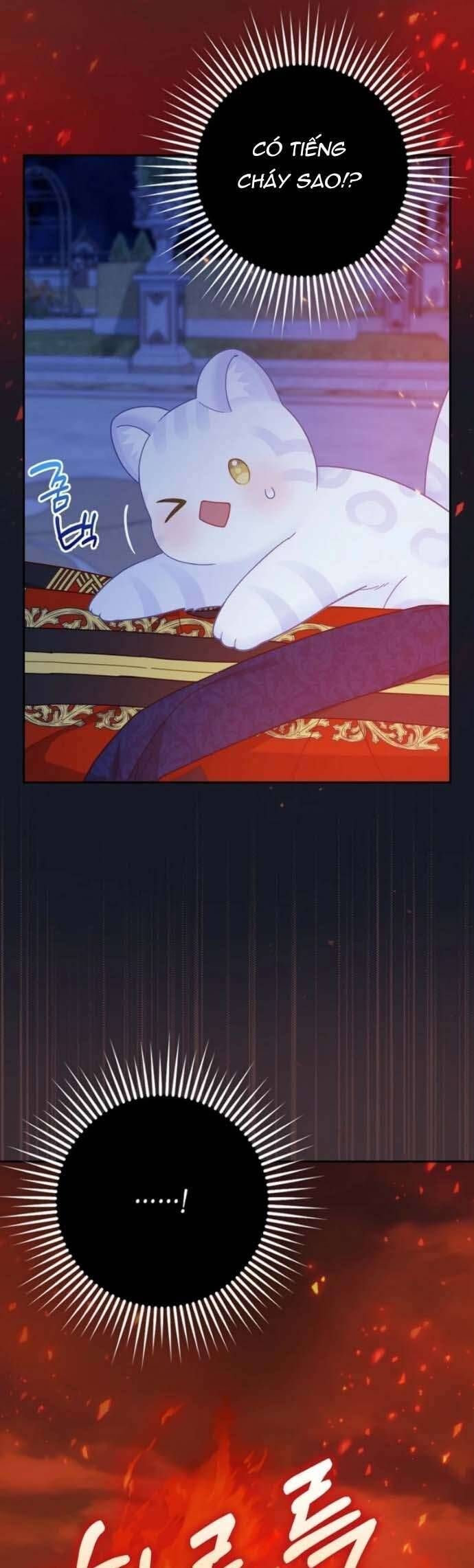 Bé Con Báo Tuyết Của Gia Tộc Báo Đen Chap 41 - Next Chap 42