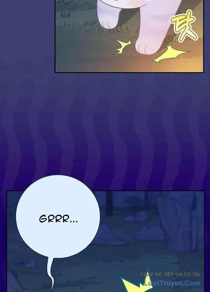Bé Con Báo Tuyết Của Gia Tộc Báo Đen Chap 64 - Next Chap 65