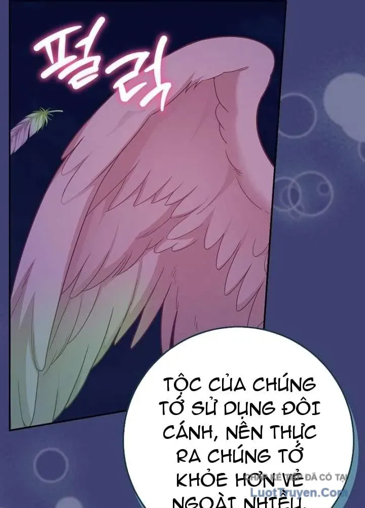 Bé Con Báo Tuyết Của Gia Tộc Báo Đen Chap 65 - Next Chap 66