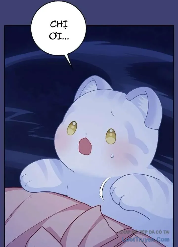 Bé Con Báo Tuyết Của Gia Tộc Báo Đen Chap 65 - Next Chap 66