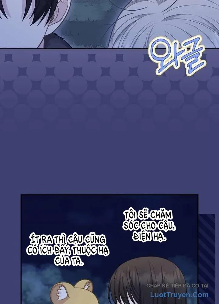 Bé Con Báo Tuyết Của Gia Tộc Báo Đen Chap 65 - Next Chap 66