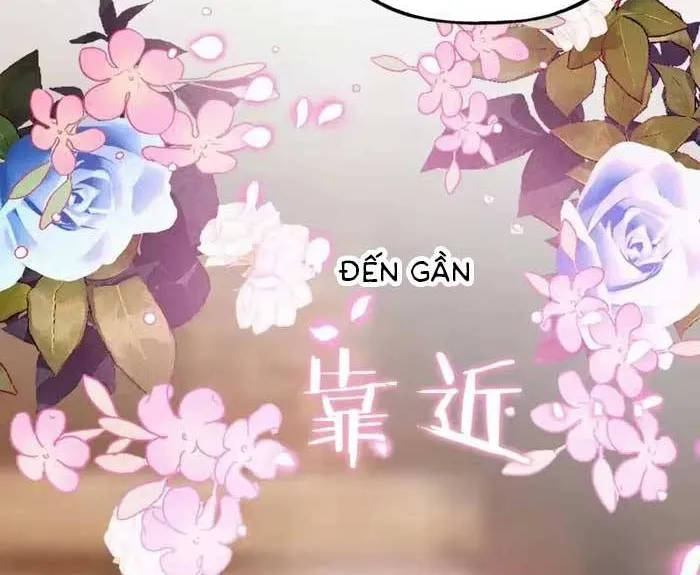 Bệ Hạ, Xin Hãy Ghét Ta Chap 10 - Next Chap 11
