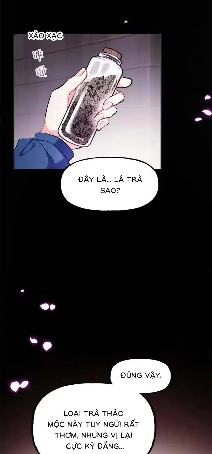 Bệ Hạ, Xin Hãy Ghét Ta Chap 13 - Next Chap 14