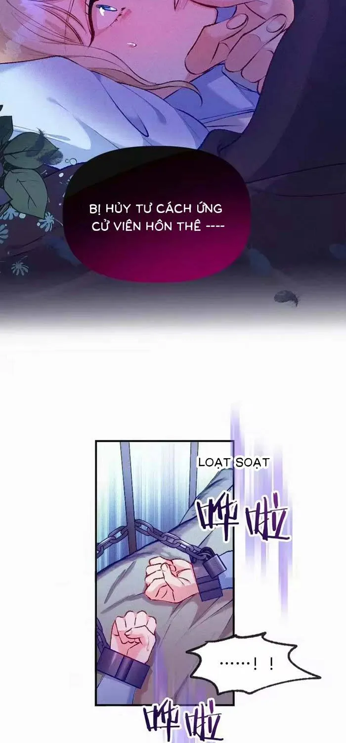 Bệ Hạ, Xin Hãy Ghét Ta Chap 17 - Next Chap 18