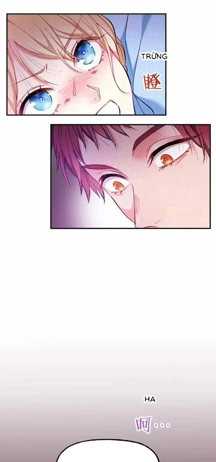 Bệ Hạ, Xin Hãy Ghét Ta Chap 18 - Next Chap 19