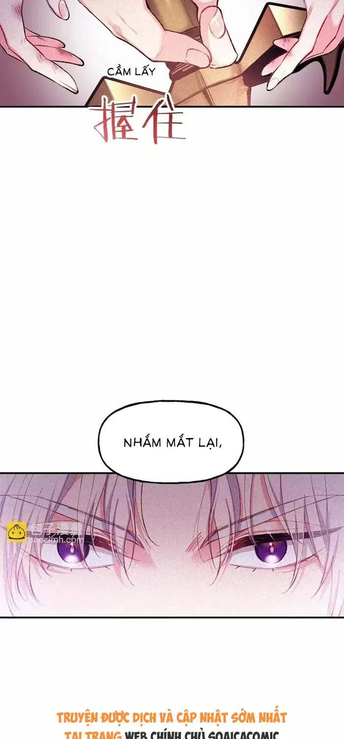 Bệ Hạ, Xin Hãy Ghét Ta Chap 19 - Next Chap 20