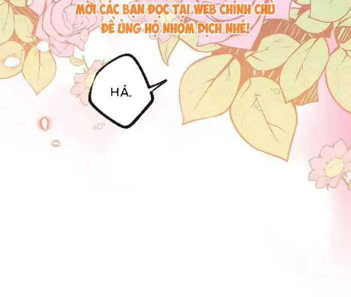 Bệ Hạ, Xin Hãy Ghét Ta Chap 20 - Next Chap 21