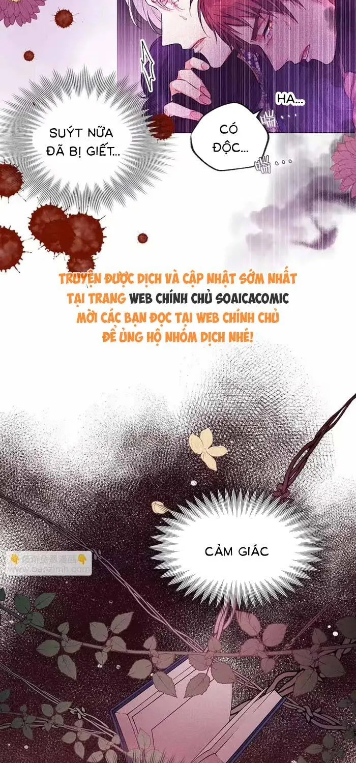 Bệ Hạ, Xin Hãy Ghét Ta Chap 24 - Next Chap 25