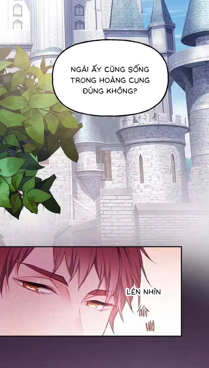 Bệ Hạ, Xin Hãy Ghét Ta Chap 24 - Next Chap 25