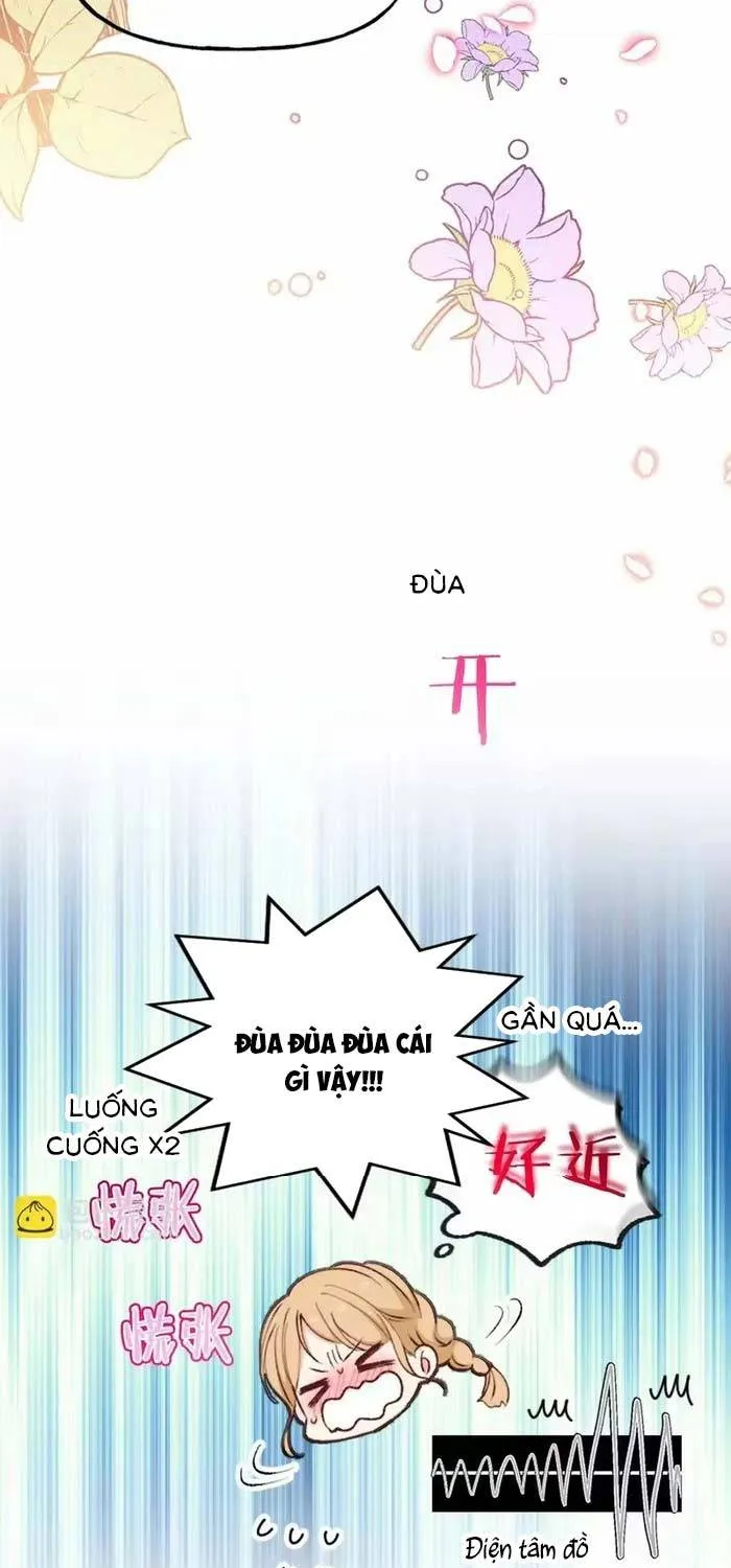 Bệ Hạ, Xin Hãy Ghét Ta Chap 27 - Next Chap 28