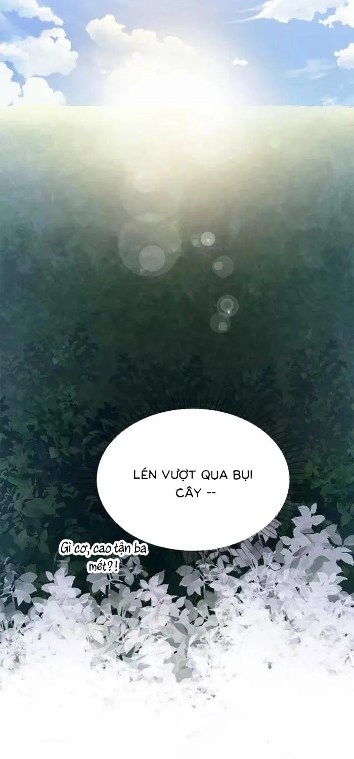 Bệ Hạ, Xin Hãy Ghét Ta Chap 28 - Next Chap 29