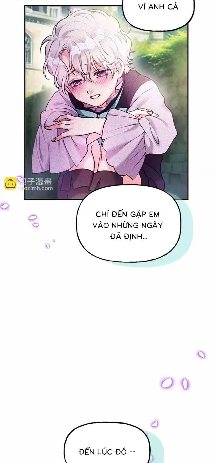 Bệ Hạ, Xin Hãy Ghét Ta Chap 28 - Next Chap 29
