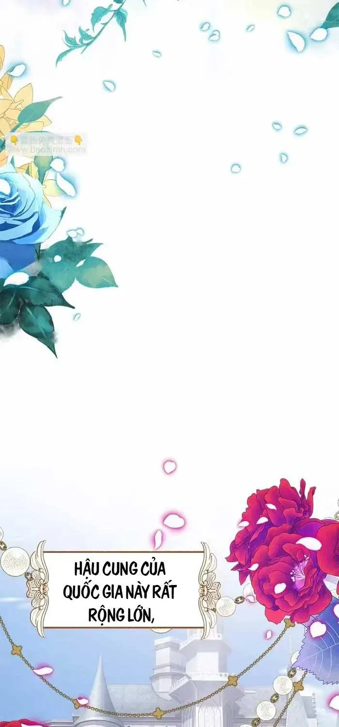 Bệ Hạ, Xin Hãy Ghét Ta Chap 3 - Next Chap 4