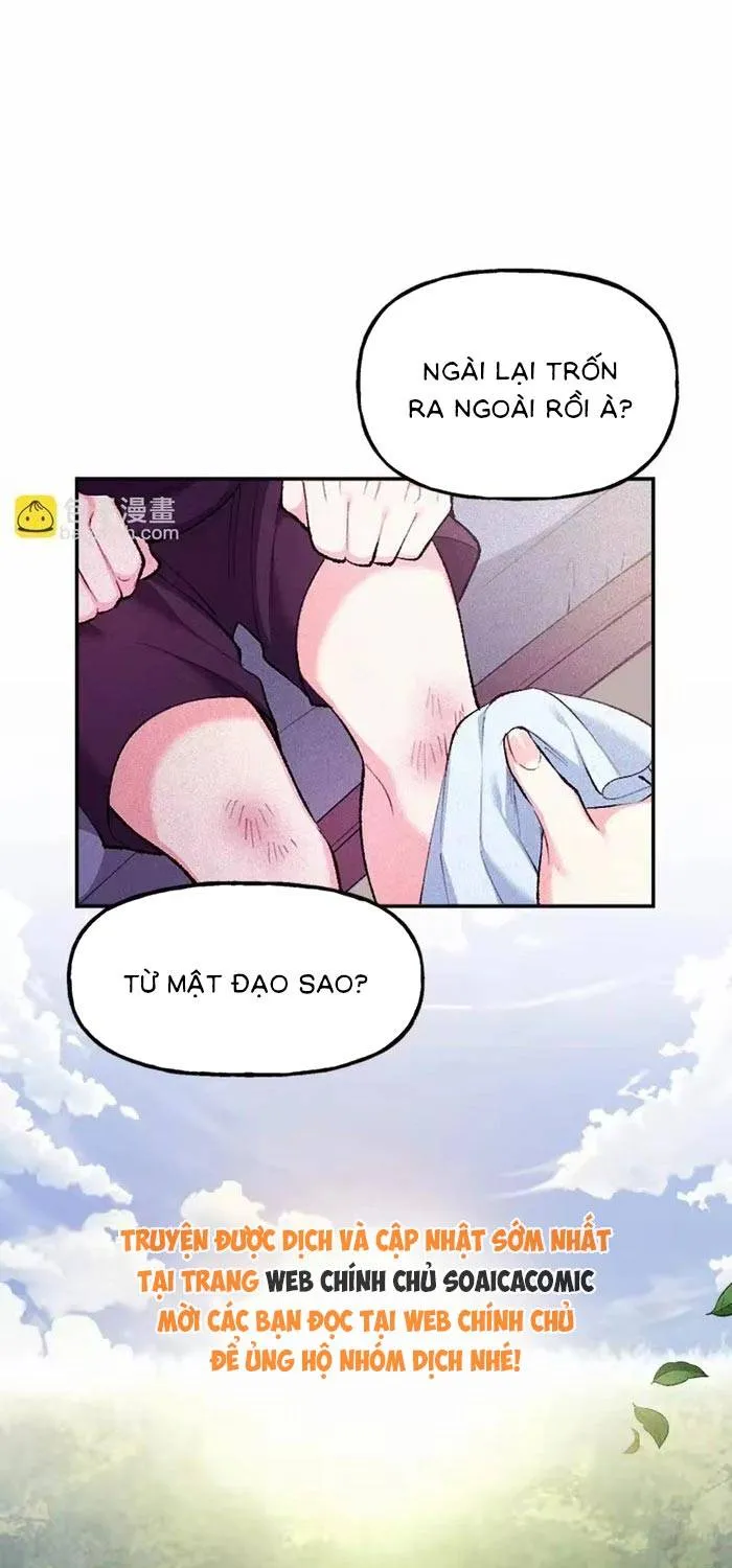 Bệ Hạ, Xin Hãy Ghét Ta Chap 33 - Next Chap 34