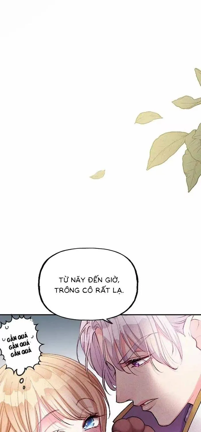 Bệ Hạ, Xin Hãy Ghét Ta Chap 34 - Next Chap 35