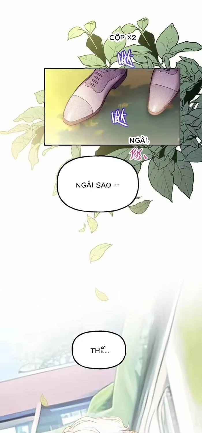 Bệ Hạ, Xin Hãy Ghét Ta Chap 34 - Next Chap 35