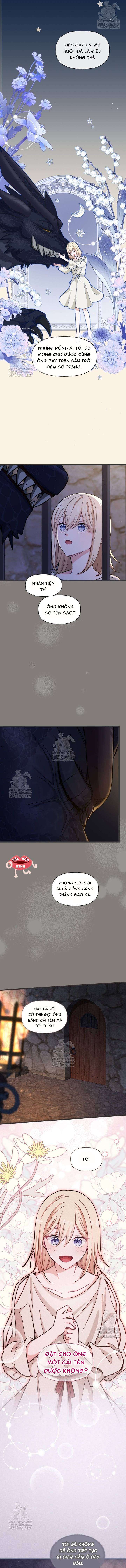 Bệ Hạ, Xin Hãy Quên Tôi Đi Chap 54 - Next Chap 55