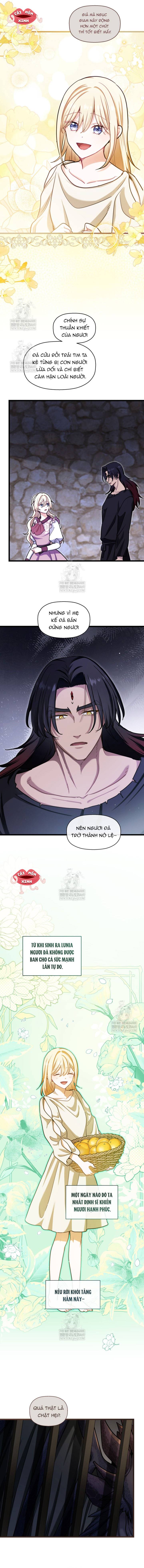 Bệ Hạ, Xin Hãy Quên Tôi Đi Chap 58 - Next Chap 59