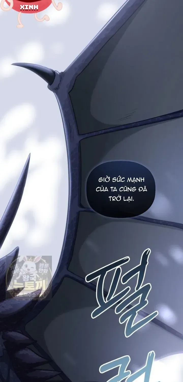 Bệ Hạ, Xin Hãy Quên Tôi Đi Chap 83 - Next Chap 84