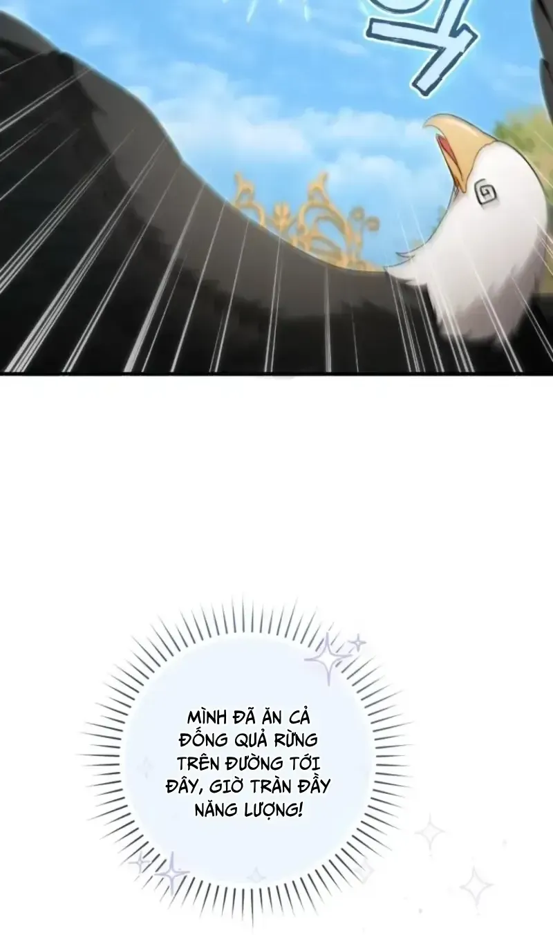 Bé Rồng Vực Dậy Gia Tộc Công Tước Chap 15 - Next Chap 16