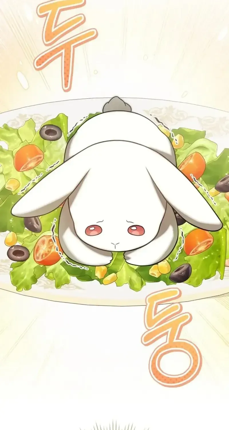 Bé Rồng Vực Dậy Gia Tộc Công Tước Chap 2 - Next Chap 3