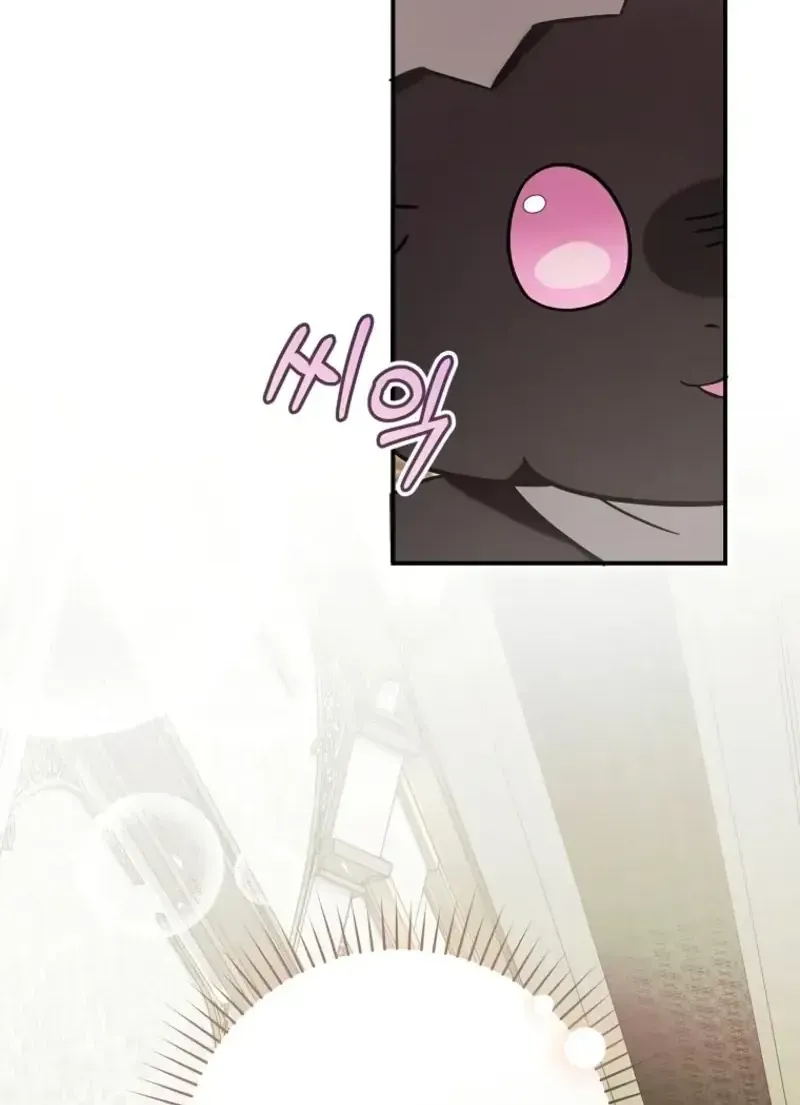 Bé Rồng Vực Dậy Gia Tộc Công Tước Chap 5 - Next Chap 6