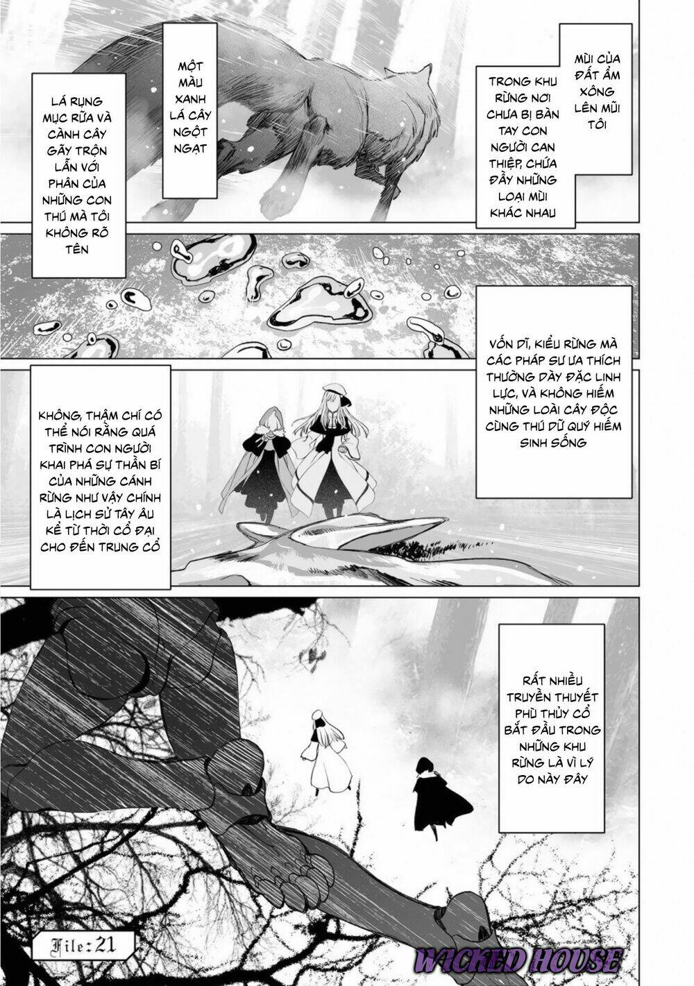Bí ẩn trong thế giới ma thuật Chap 21 - Next Chap 22