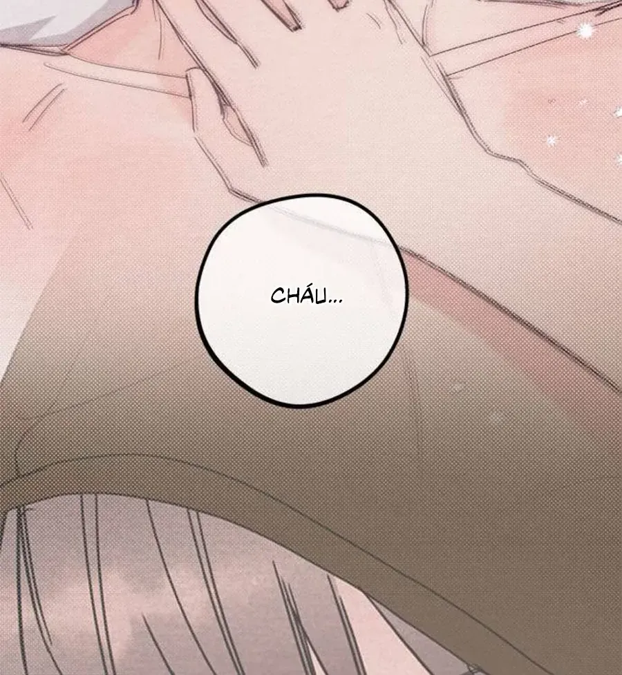 Bí Mật Của Tiền Bối Hoàn Hảo Chap 10 - Next Chap 11