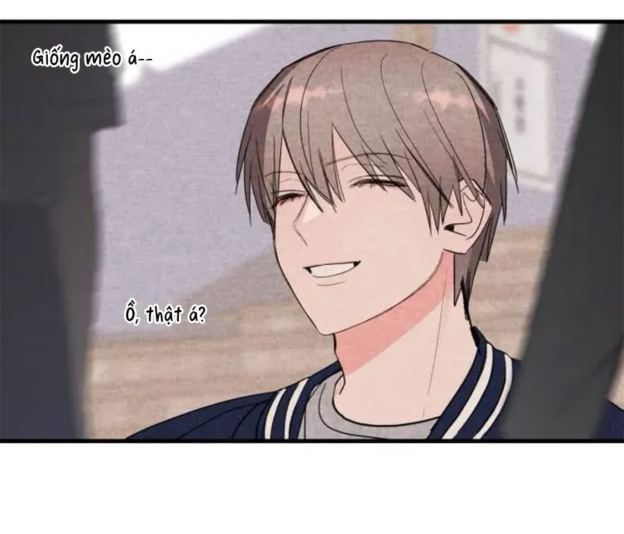 Bí Mật Của Tiền Bối Hoàn Hảo Chap 12 - Next Chap 13