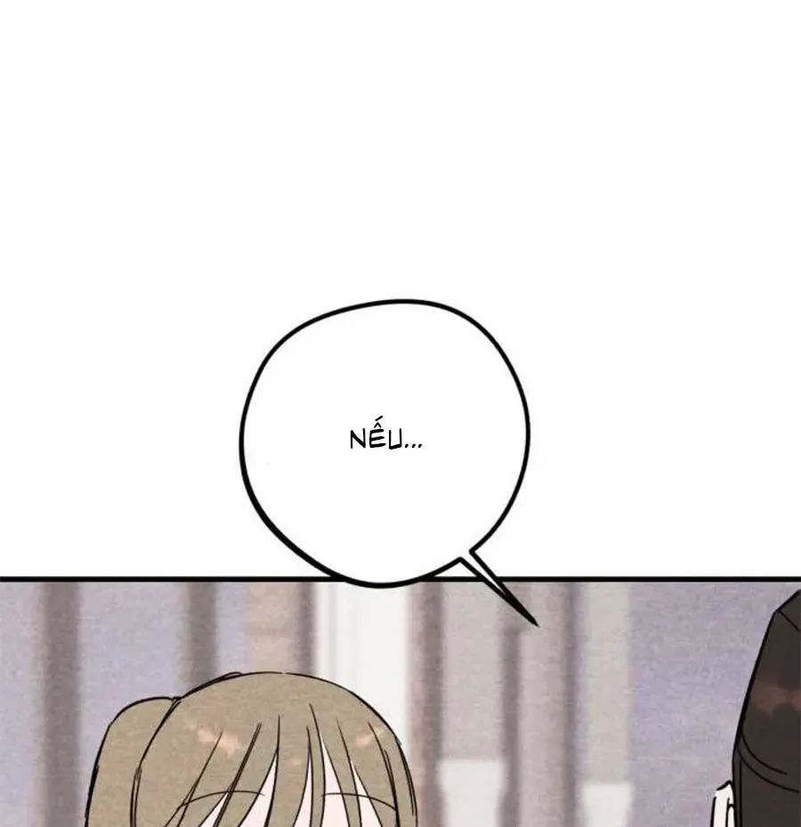 Bí Mật Của Tiền Bối Hoàn Hảo Chap 13 - Next Chap 14