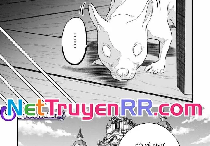 Bị Phản Bội Bởi Đồng Đội Và Sở Hữu [Gacha Không Giới Hạn] Lv.9999 Chap 127 - Next Chap 128