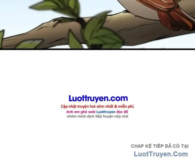 Biên Niên Sử Các Bậc Thầy Đạo Giáo Chap 1 - Next Chap 2