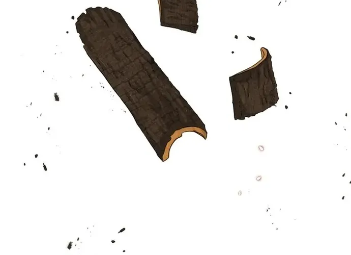 Biên Niên Sử Cao Câu Ly Chap 12 - Next Chap 13