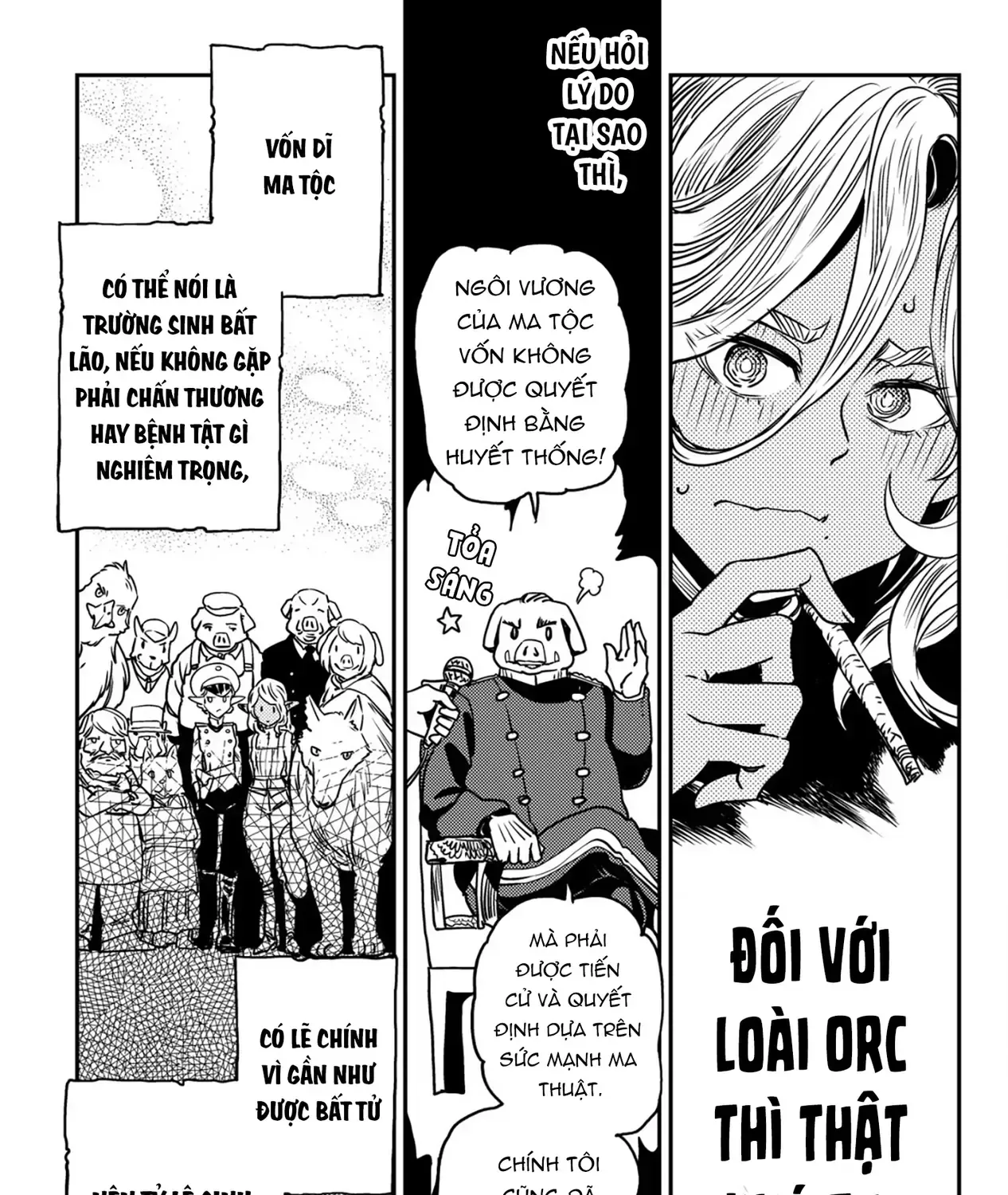 Biên Niên Sử Vương Quốc Orcsen - Vương Quốc Orc Mọi Rợ Đã Thiêu Rụi Vùng Đất Tiên Tộc Hiền Hòa Như Thế Nào? Chap 2 - Next Chap 3