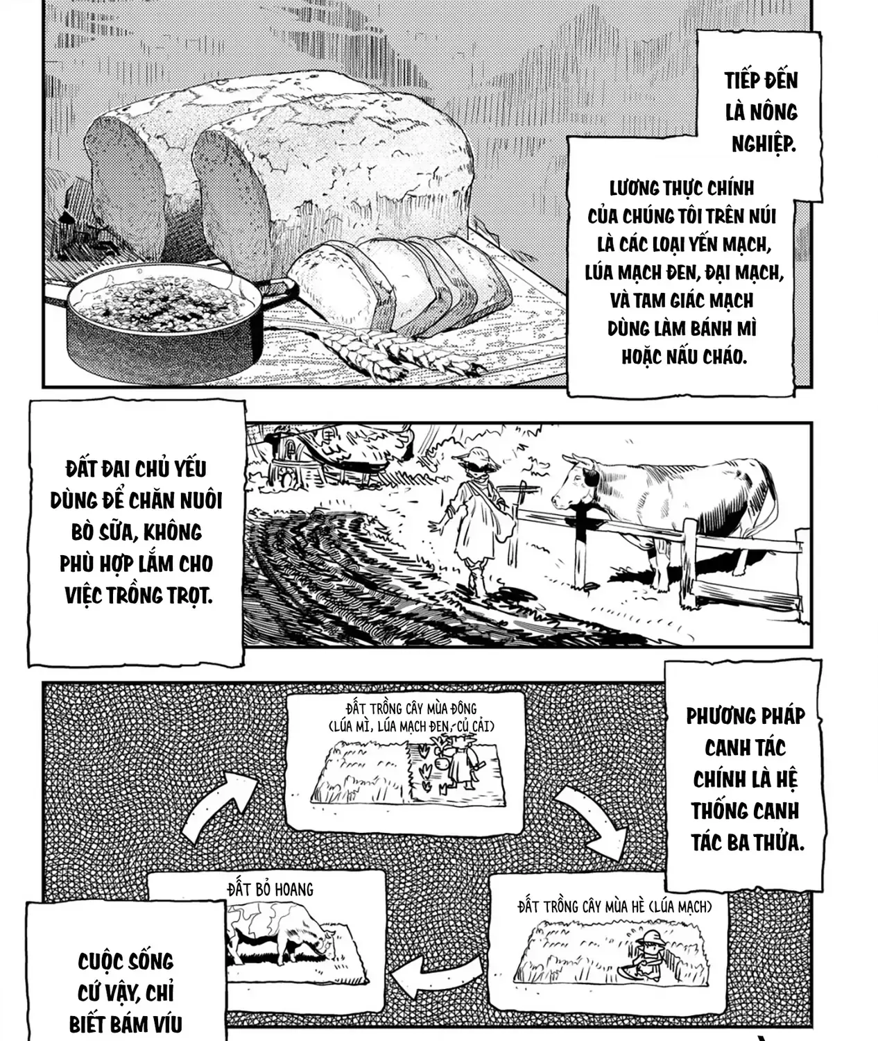 Biên Niên Sử Vương Quốc Orcsen - Vương Quốc Orc Mọi Rợ Đã Thiêu Rụi Vùng Đất Tiên Tộc Hiền Hòa Như Thế Nào? Chap 2 - Next Chap 3