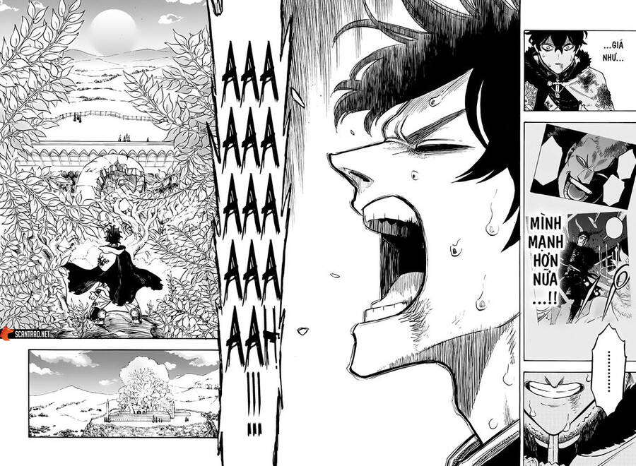 Black Clover - Thế Giới Phép Thuật Chap 239 - Next Chap 240