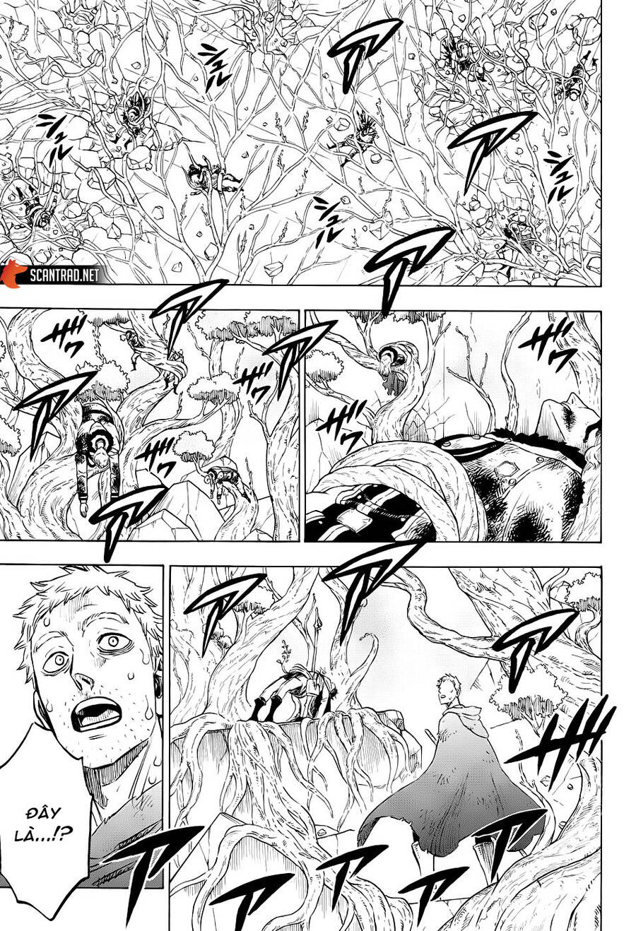 Black Clover - Thế Giới Phép Thuật Chap 239 - Next Chap 240